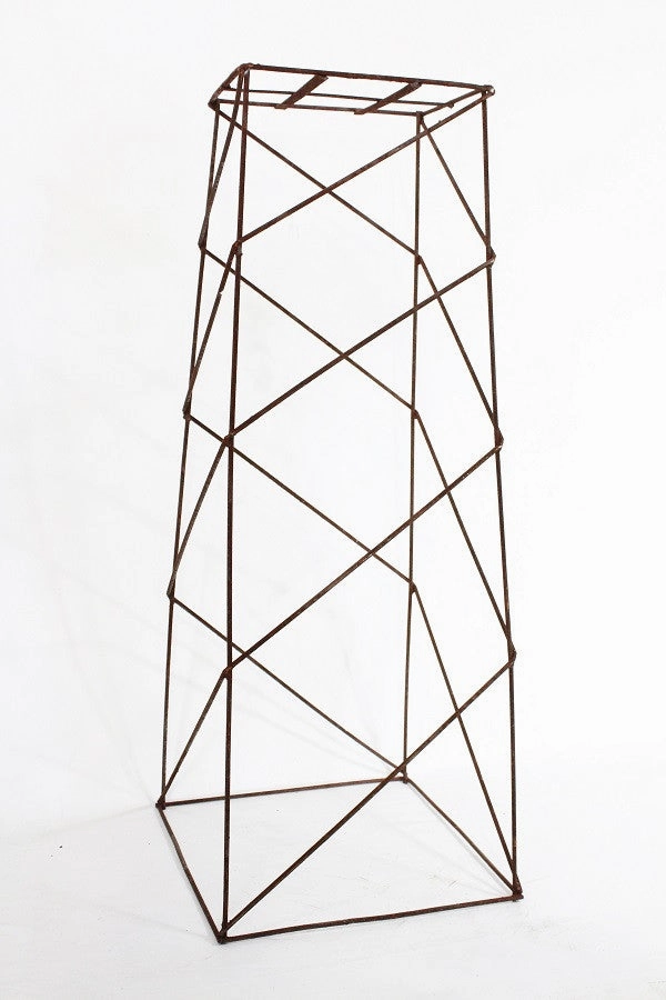 Square Stand cactus succulent plant  