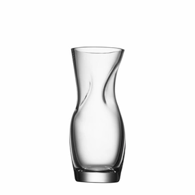 Squeeze - Vase Clear Small mini ornamental plant  