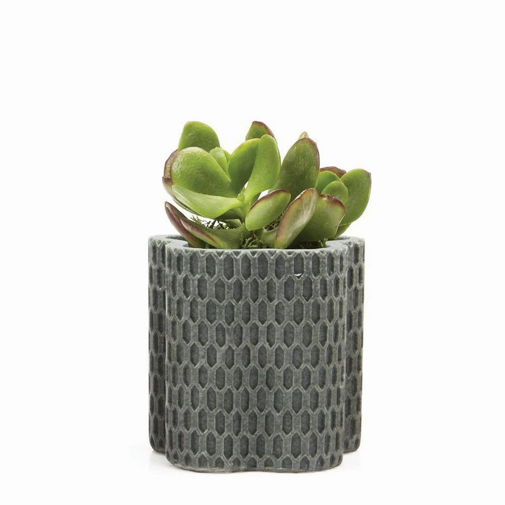 Stagma Pot