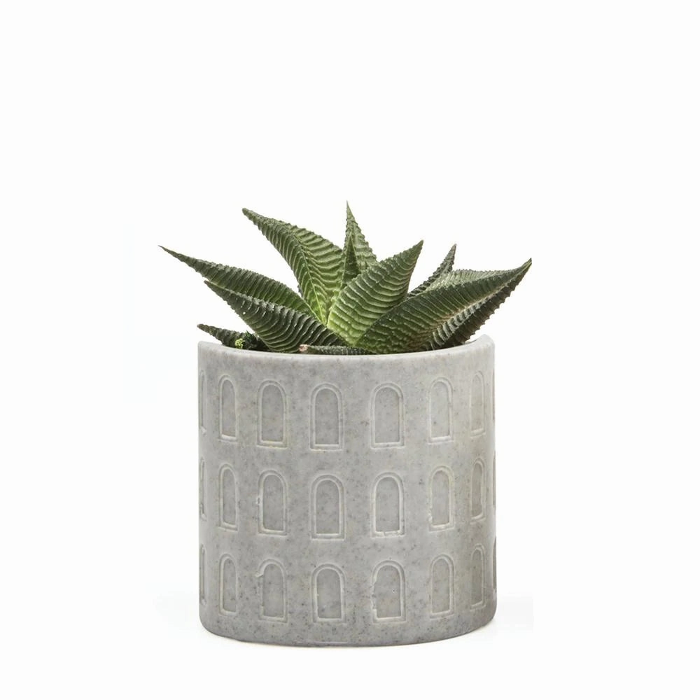 Stagma Pot