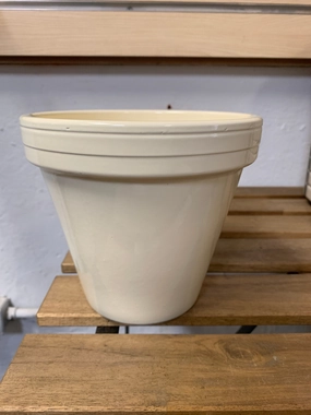 Standard Pot - Butter Yellow plant seeds  