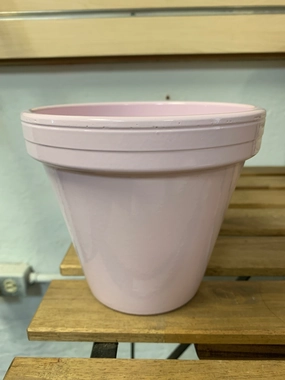 Standard Pot - Dusty Rose plant seeds  