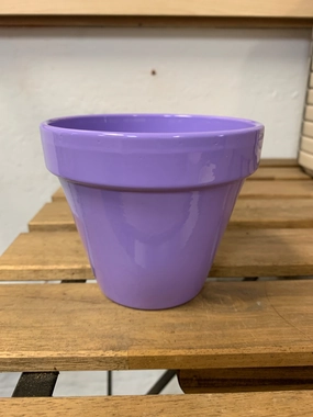 Standard Pot - Lilac Purple plant seeds  