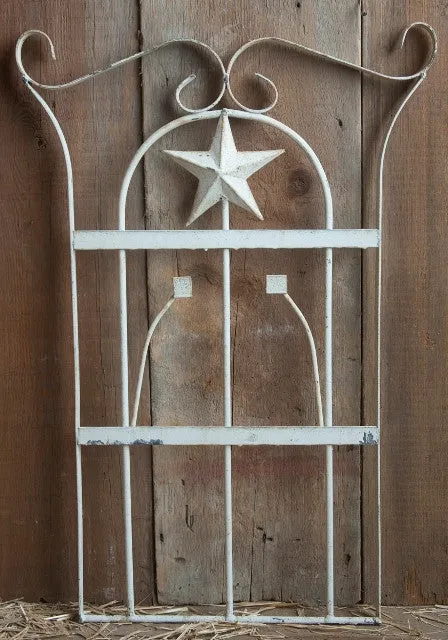 Star Wall Decor dried flower branch  
