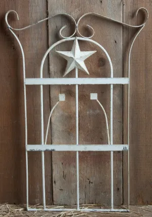 Star Wall Decor dried flower branch  