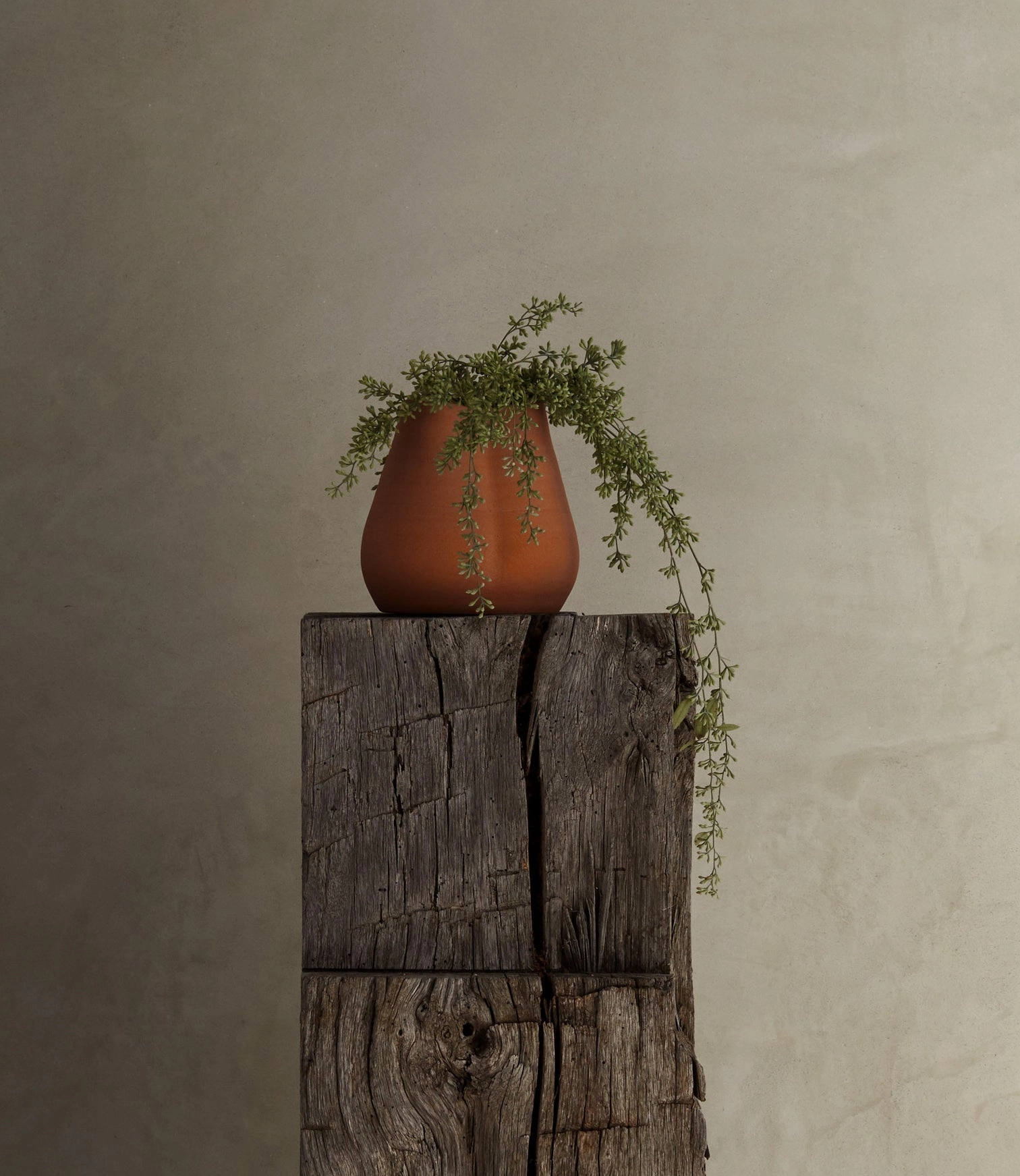 Stella - Vase