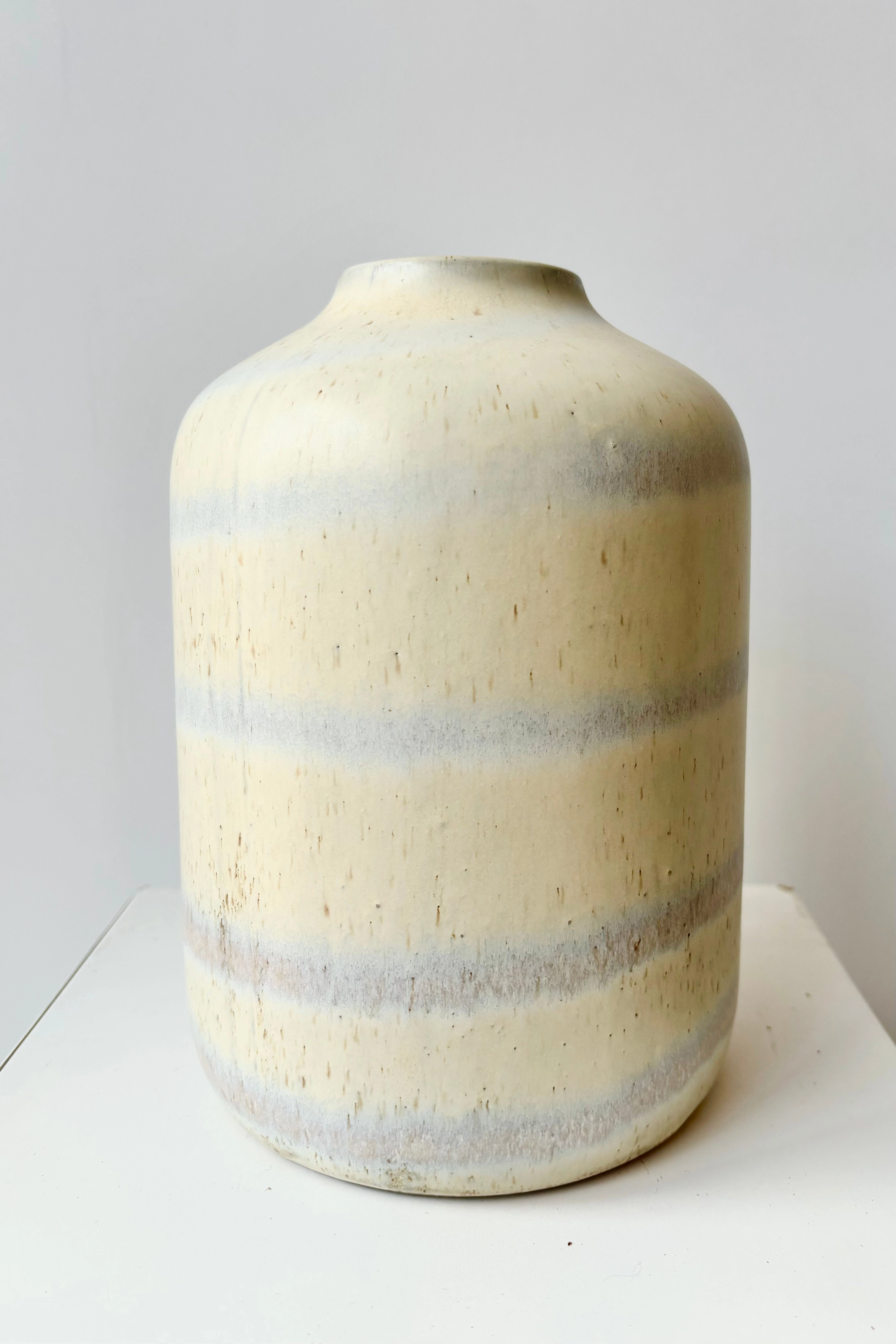 Stoneware Bud Vase dried green plant  