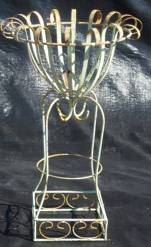 STRAP METAL PLANT STAND cactus succulent plant  