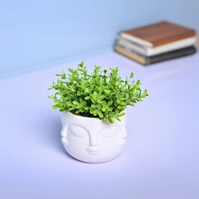 Stylish White Ceramic Face Vase dried green plant  
