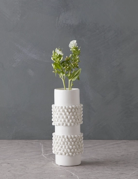Subhan Vase mini ornamental plant  