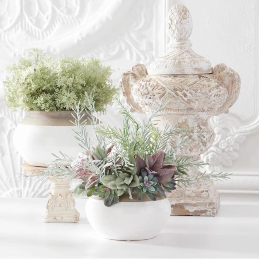 Succulent & Mixed Foliage Bundle
