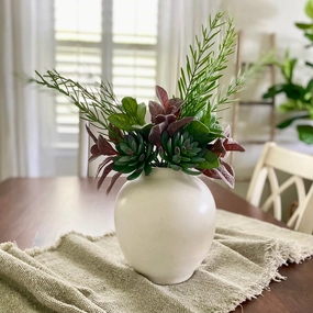 Succulent & Mixed Foliage Bundle xl flower pot  