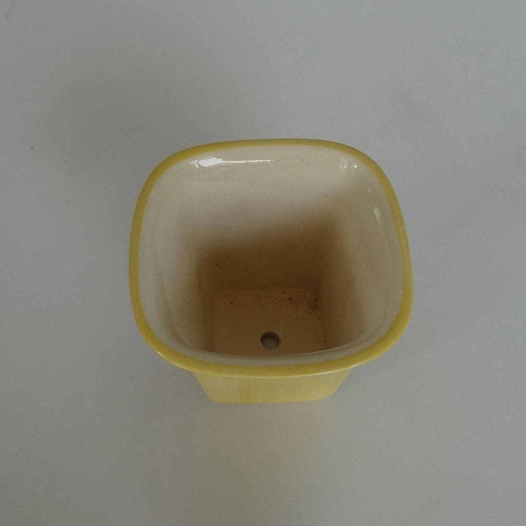 Succulent Ceramic Flower Pot, Yellow, Dia: 2.5 Inch shade perennial  