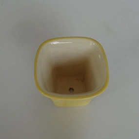 Succulent Ceramic Flower Pot, Yellow, Dia: 2.5 Inch hanging green plant  