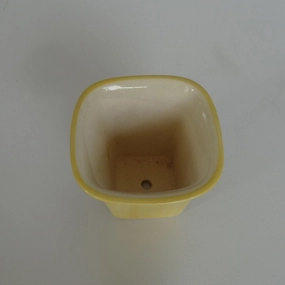 Succulent Ceramic Flower Pot, Yellow, Dia: 2.5 Inch cactus succulent plant  