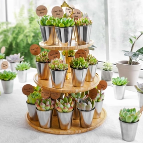 Succulent Favors Metal Shot Glass(Tag Custom Supported) mini ornamental plant  