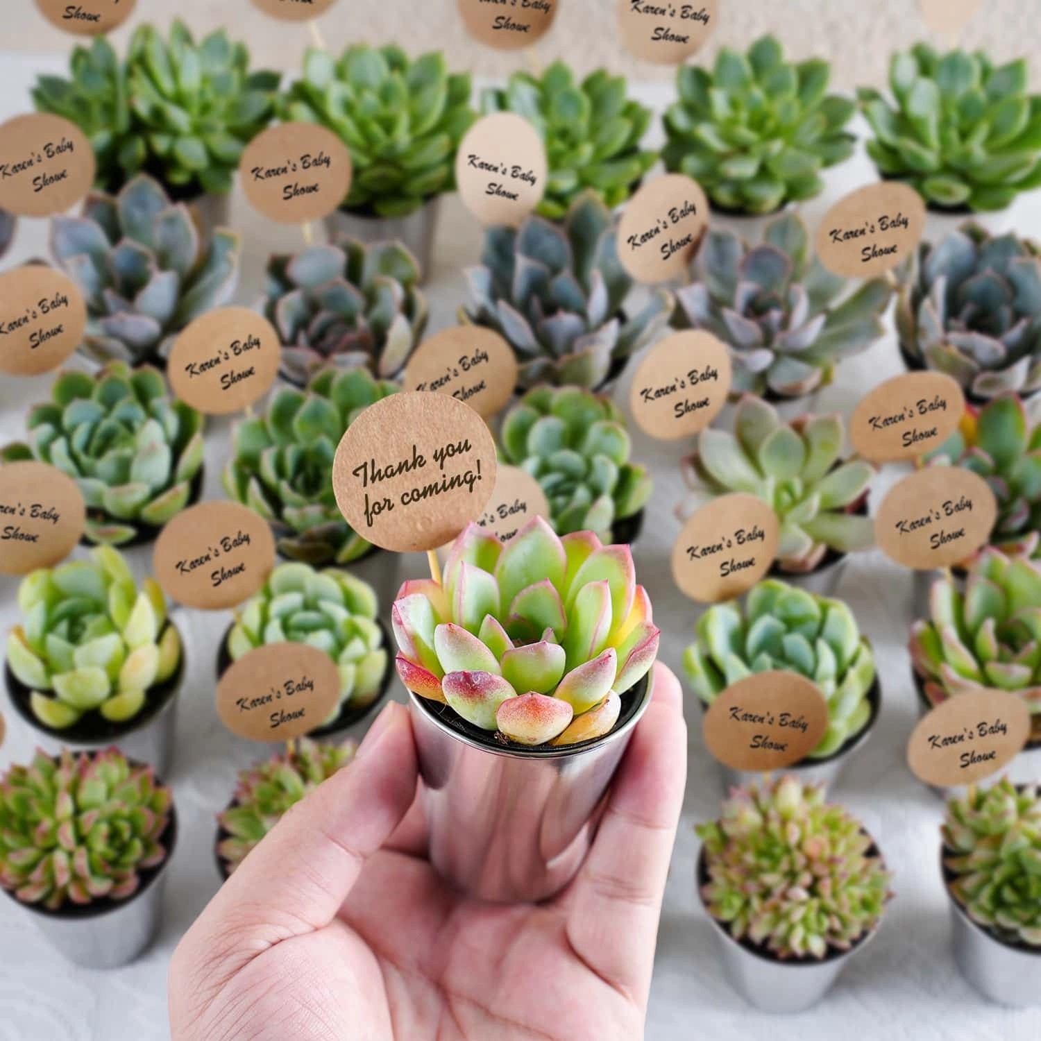 Succulent Favors Metal Shot Glass(Tag Custom Supported)