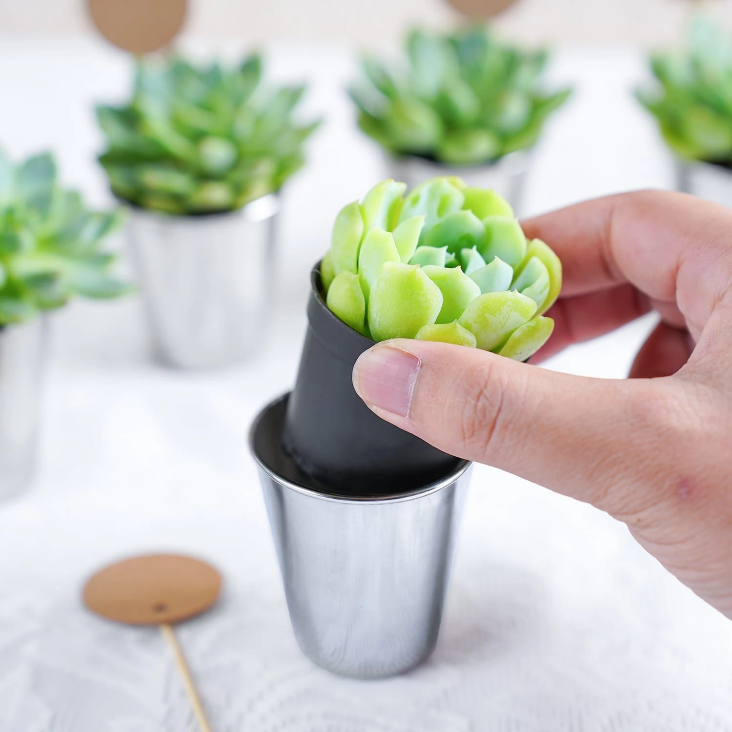 Succulent Favors Metal Shot Glass(Tag Custom Supported)