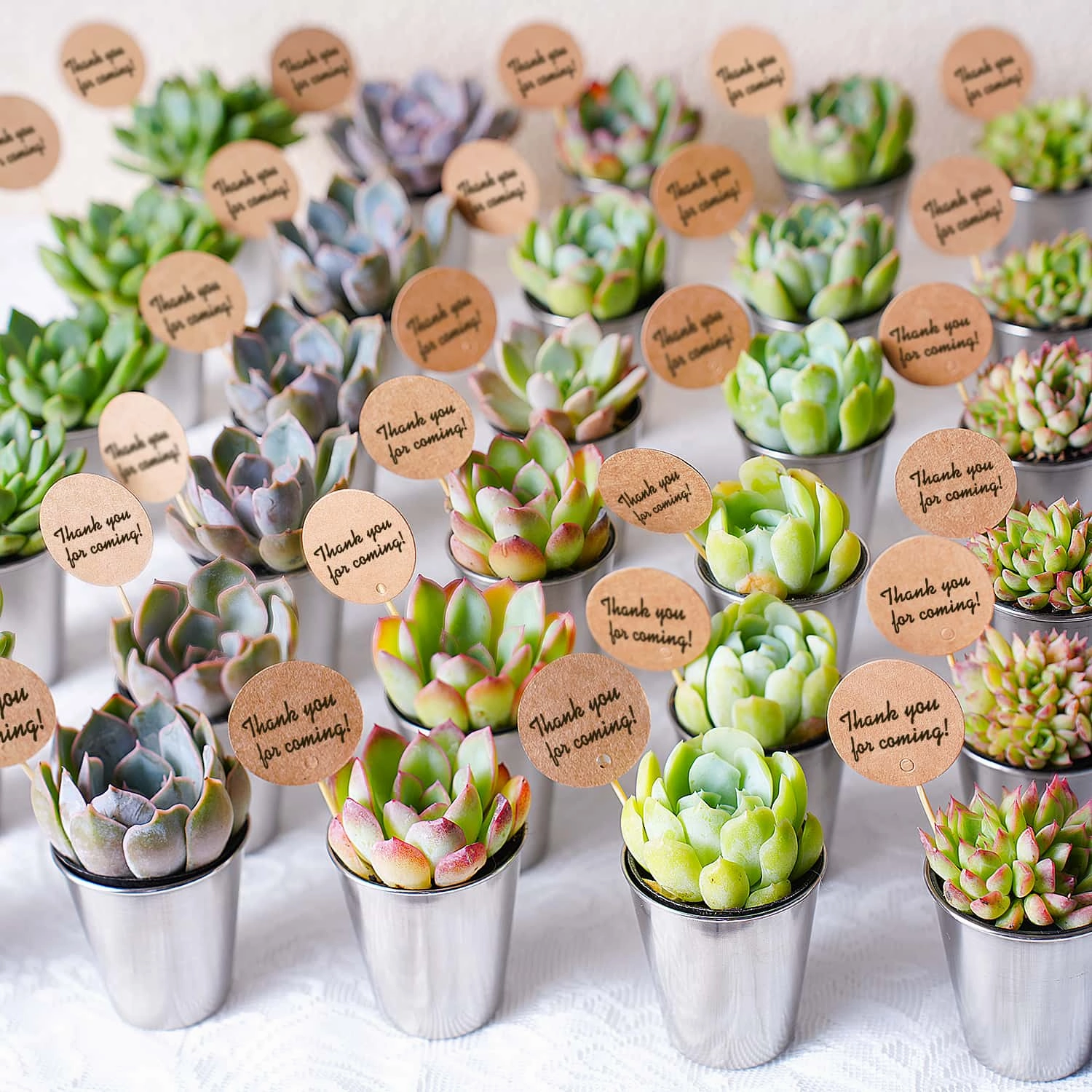 Succulent Favors Metal Shot Glass(Tag Custom Supported)