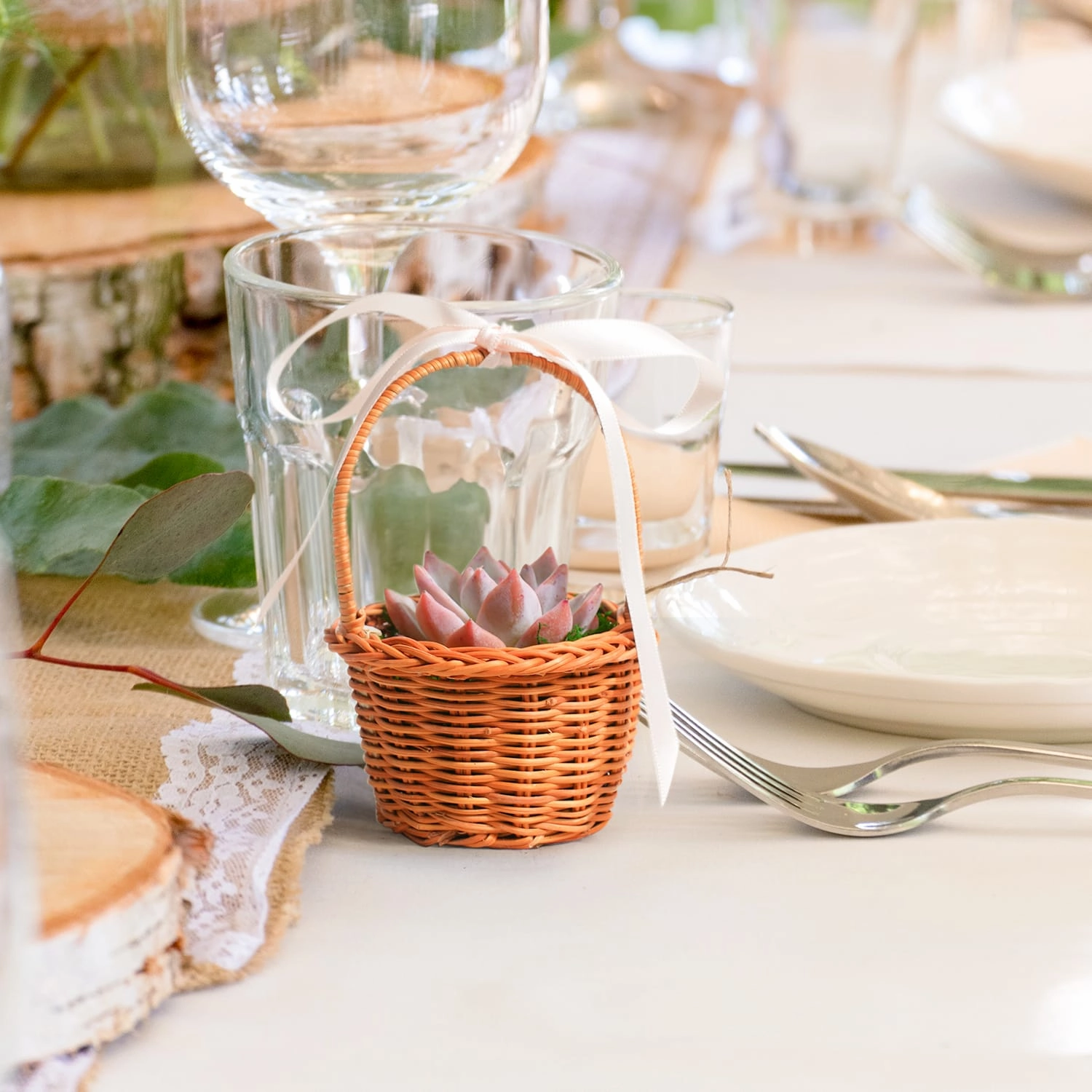 Succulent Favors Nature Mini Baskets Handles