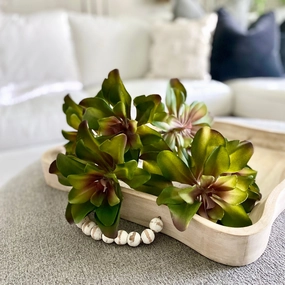 Succulent Pick xl flower pot  