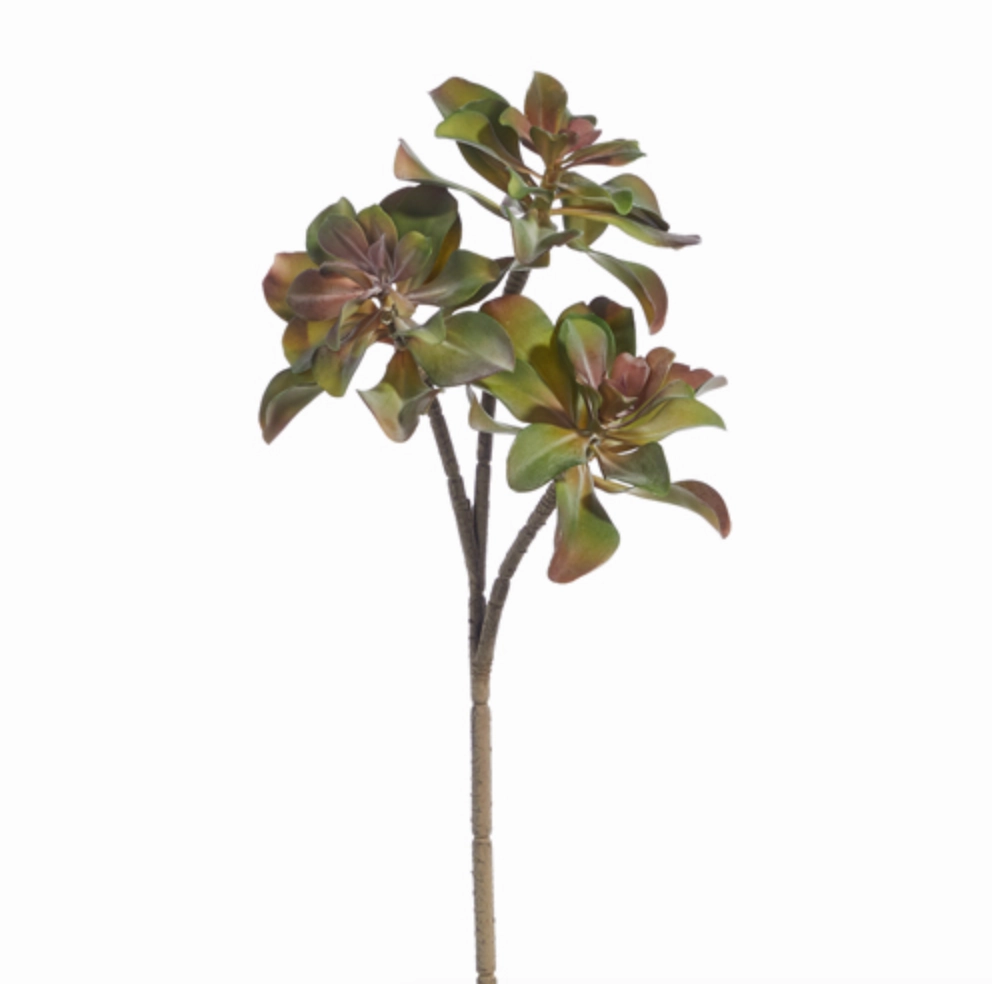 Succulent Pick
