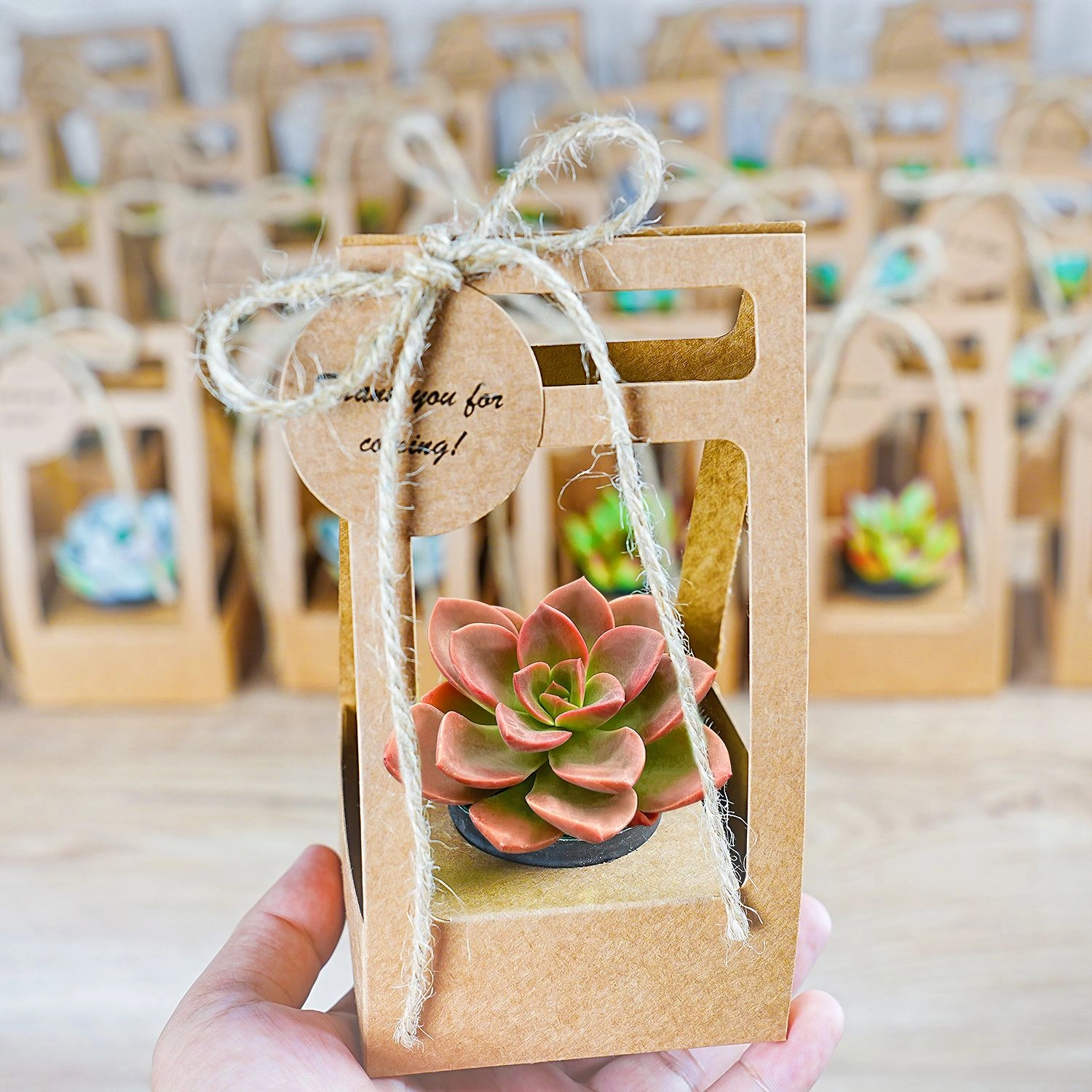 Succulent Wedding Favors Kraft Box(Tag Custom Supported)