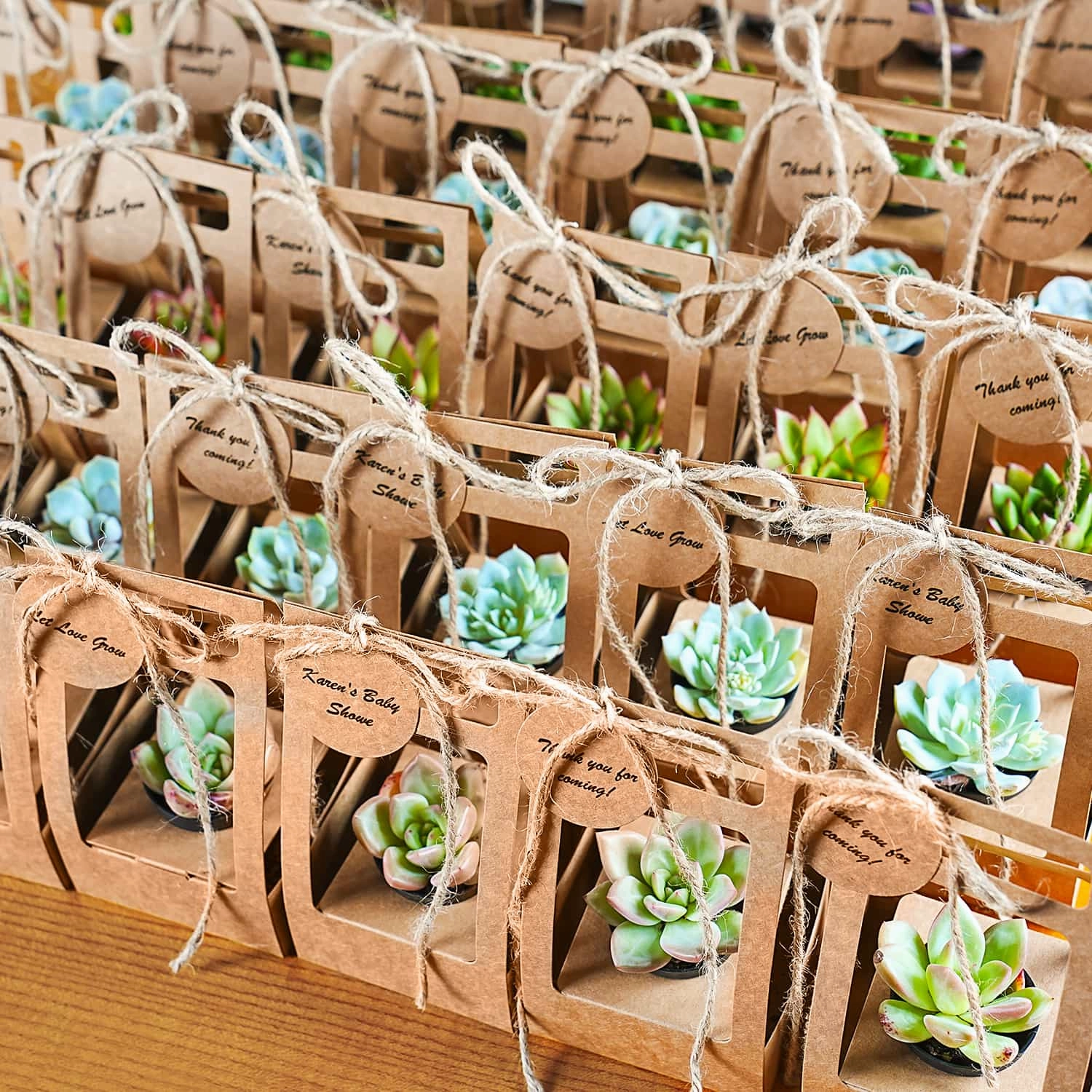 Succulent Wedding Favors Kraft Box(Tag Custom Supported) mini ornamental plant  