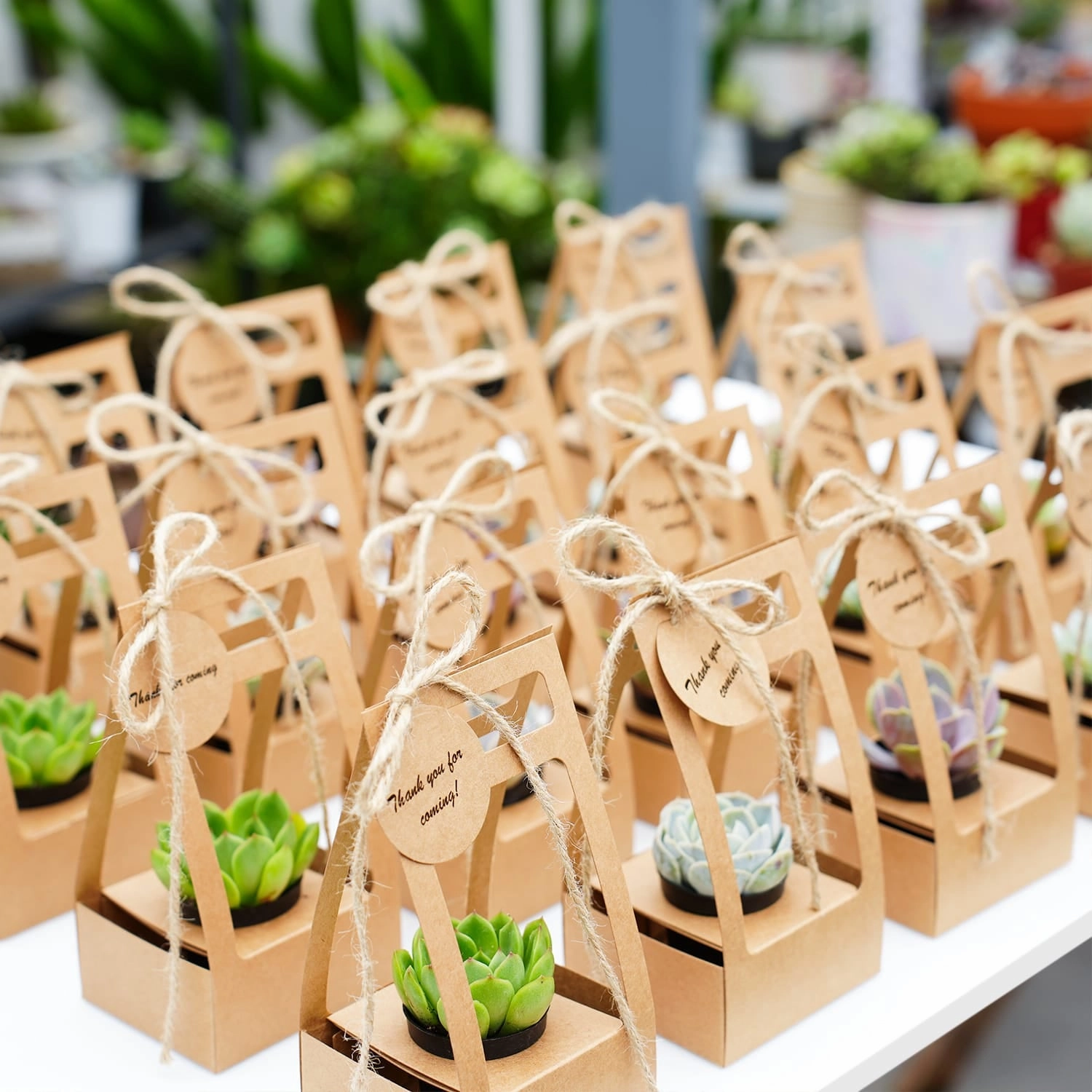 Succulent Wedding Favors Kraft Box(Tag Custom Supported)