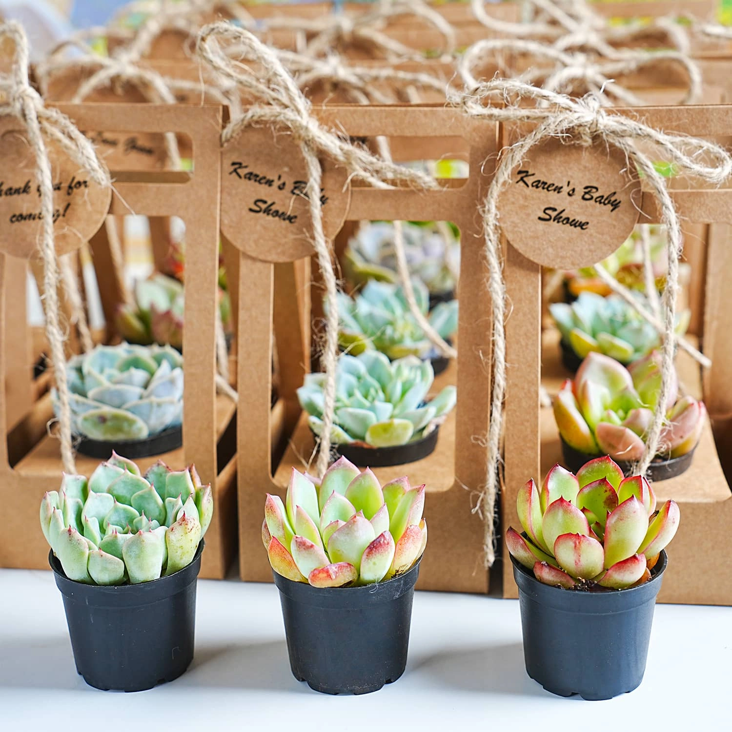 Succulent Wedding Favors Kraft Box(Tag Custom Supported)