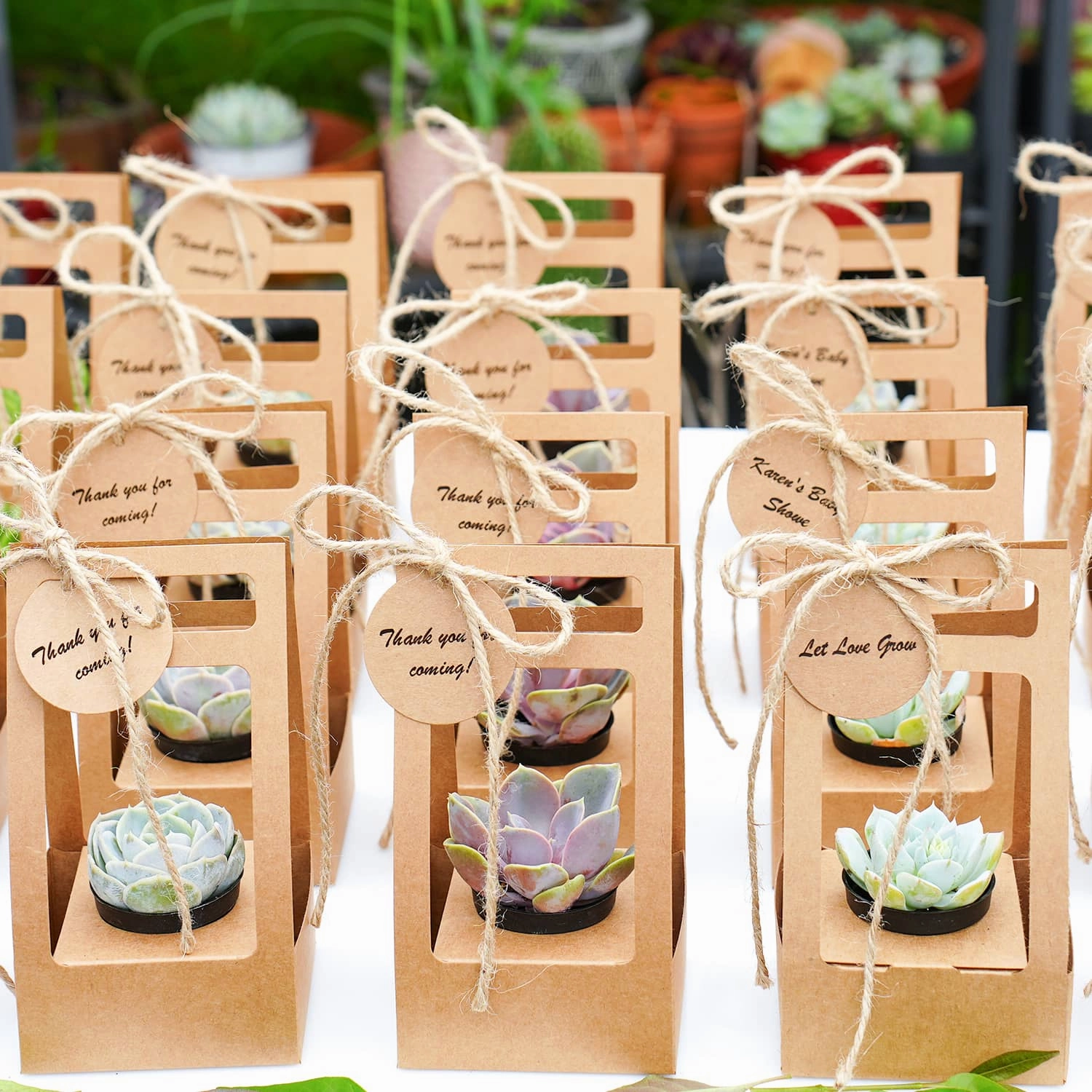 Succulent Wedding Favors Kraft Box(Tag Custom Supported)