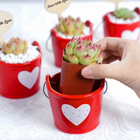 Succulent Wedding Favors, Red Ceramic Buckets mini ornamental plant  