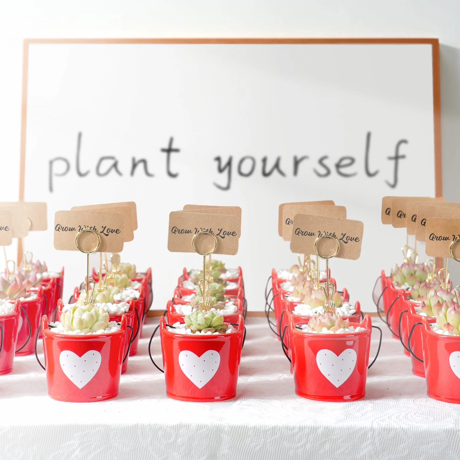 Succulent Wedding Favors, Red Ceramic Buckets