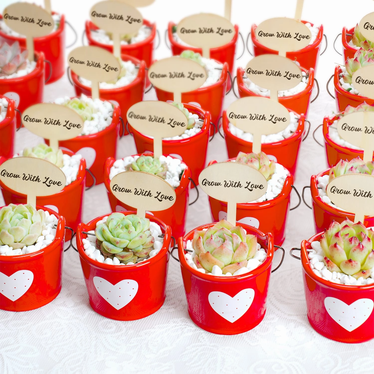 Succulent Wedding Favors, Red Ceramic Buckets