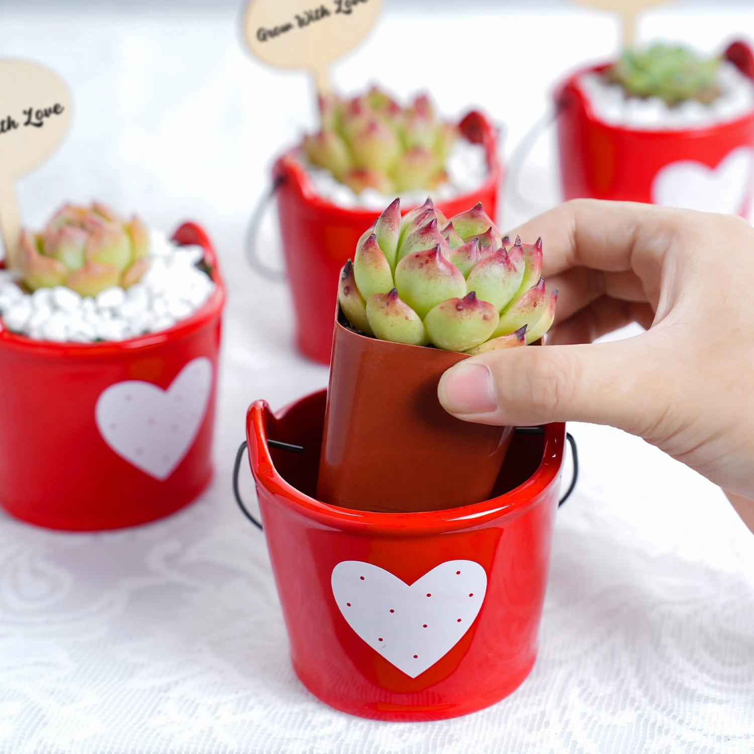 Succulent Wedding Favors, Red Ceramic Buckets mini ornamental plant  
