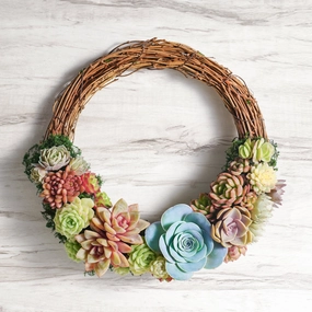 Succulent Wreath DIY Kit, 10" mini ornamental plant  