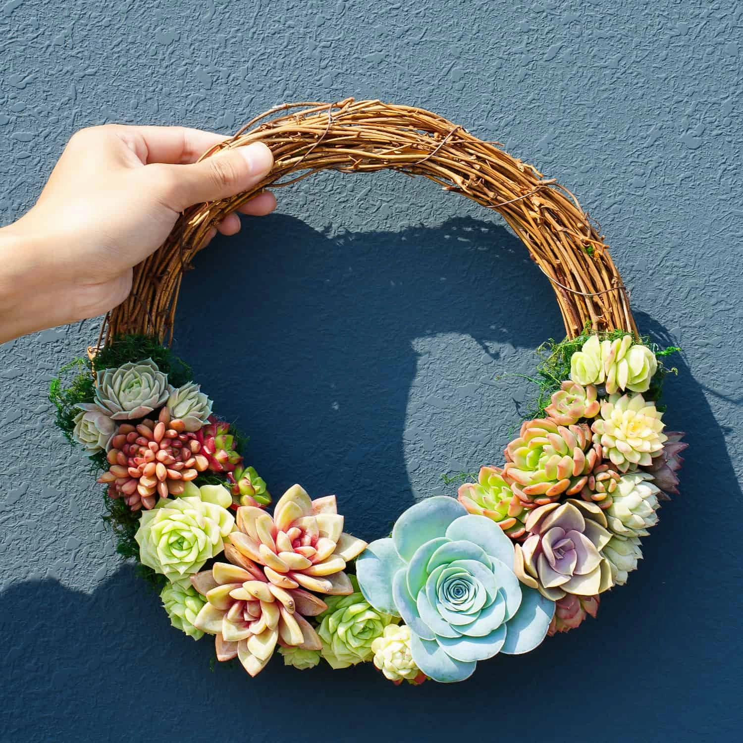 Succulent Wreath DIY Kit, 10"