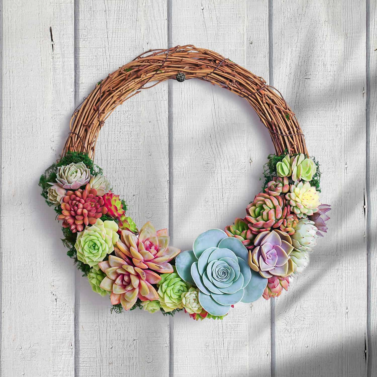 Succulent Wreath DIY Kit, 10"