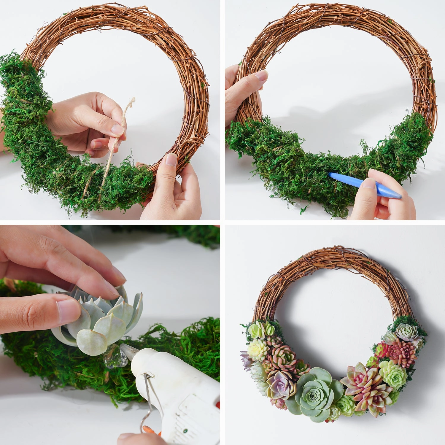 Succulent Wreath DIY Kit, 10"