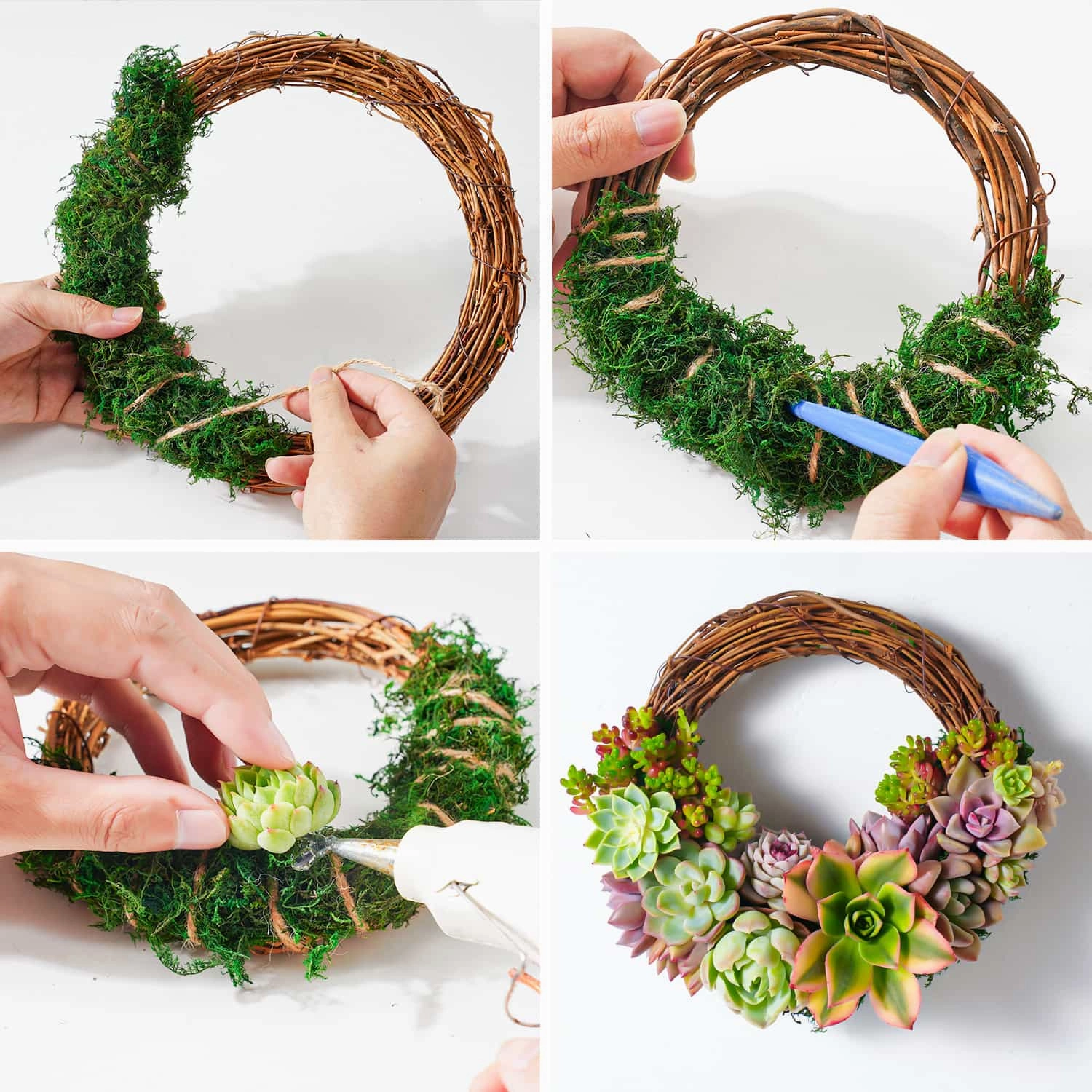 Succulent Wreath DIY Kit, 6"