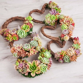 Succulent Wreath DIY Kit, 6" mini ornamental plant  