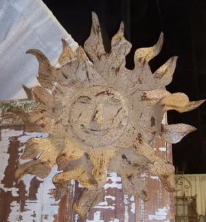 Sun Faces Set of 3 dried flower branch  