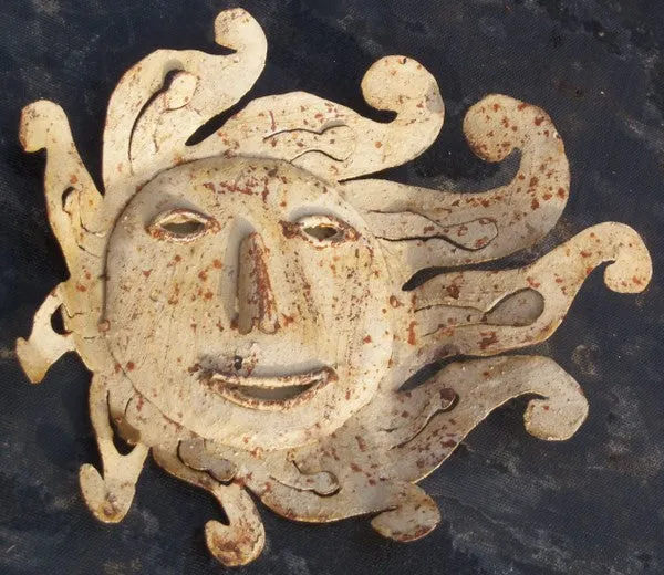 Sun Faces Set of 3 dried flower branch  