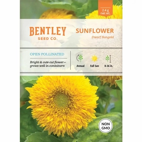 Sunflower-Sungold Dwarf-Helianthus annuus Seed Packet floating plant shelf  