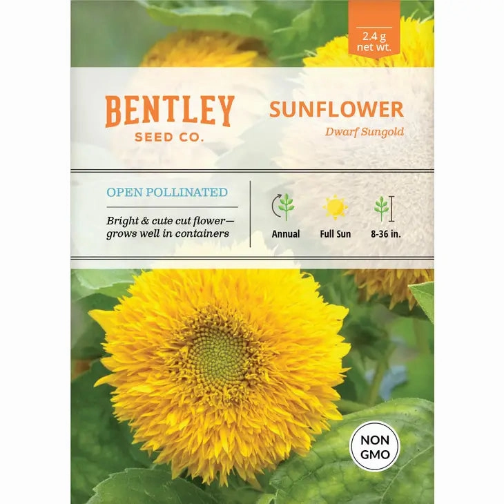 Sunflower-Sungold Dwarf-Helianthus annuus Seed Packet floating plant shelf  