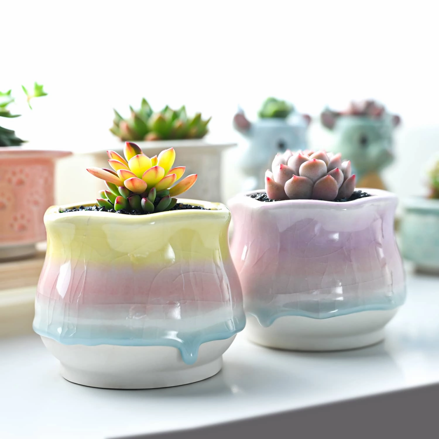 Sweet Gradient Drip Glaze Planters, Set of 2 mini ornamental plant  