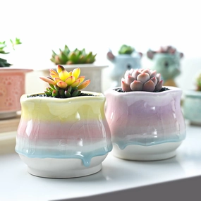 Sweet Gradient Drip Glaze Planters, Set of 2 mini ornamental plant  