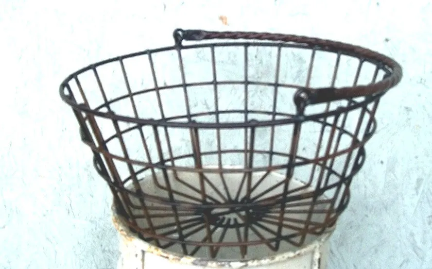 Swing Handle Egg Basket dried flower branch  