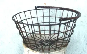 Swing Handle Egg Basket dried flower branch  