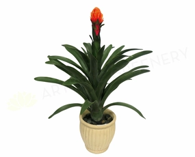T0001 Bromeliad Plant (Red Flower) 83cm indoor plant stand  